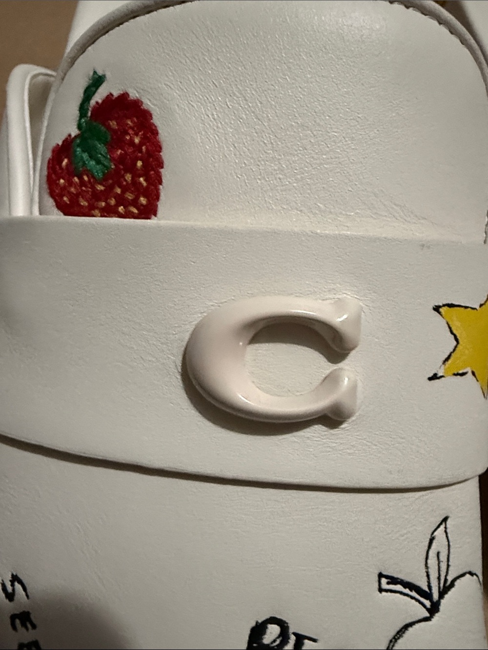 COACH White Illustrated Clog Slides — Lucky New York Motif - Picture 3 of 10